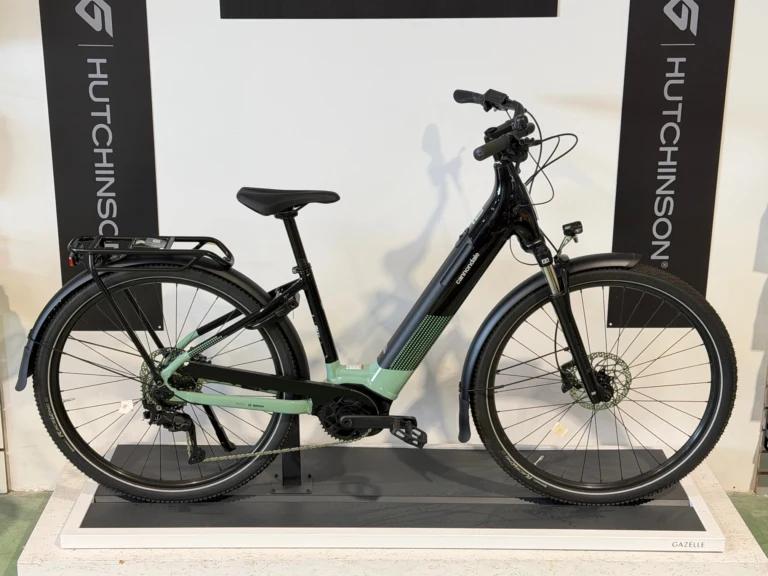 CANNONDALE TESORO NEO X 3